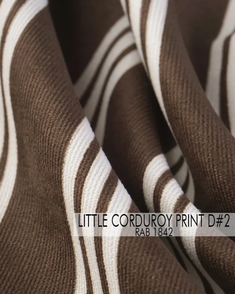 Little Corduroy Print D#2